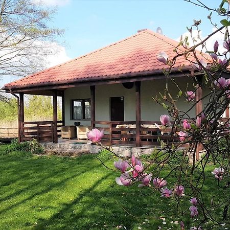 Villa Domek W Nabo Załuski Exterior foto