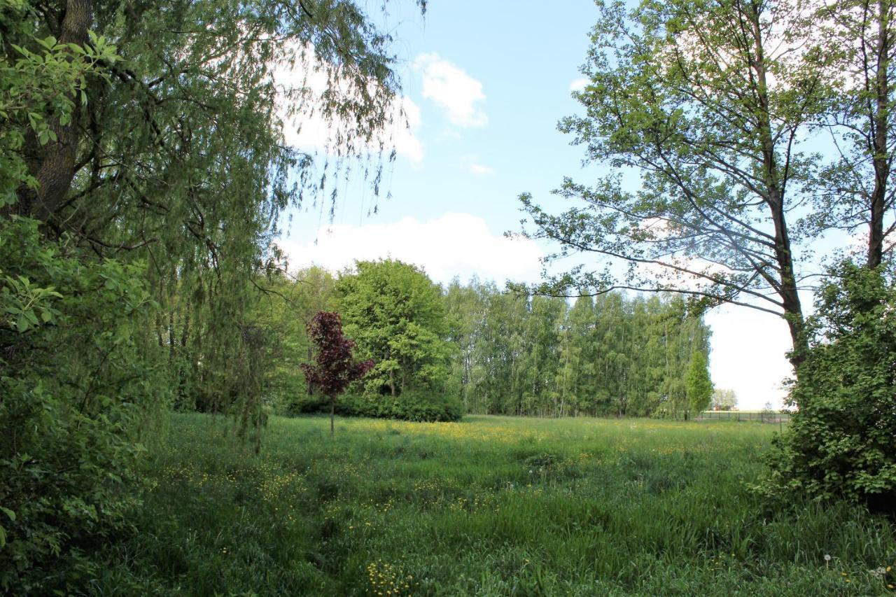 Villa Domek W Nabo Załuski Exterior foto