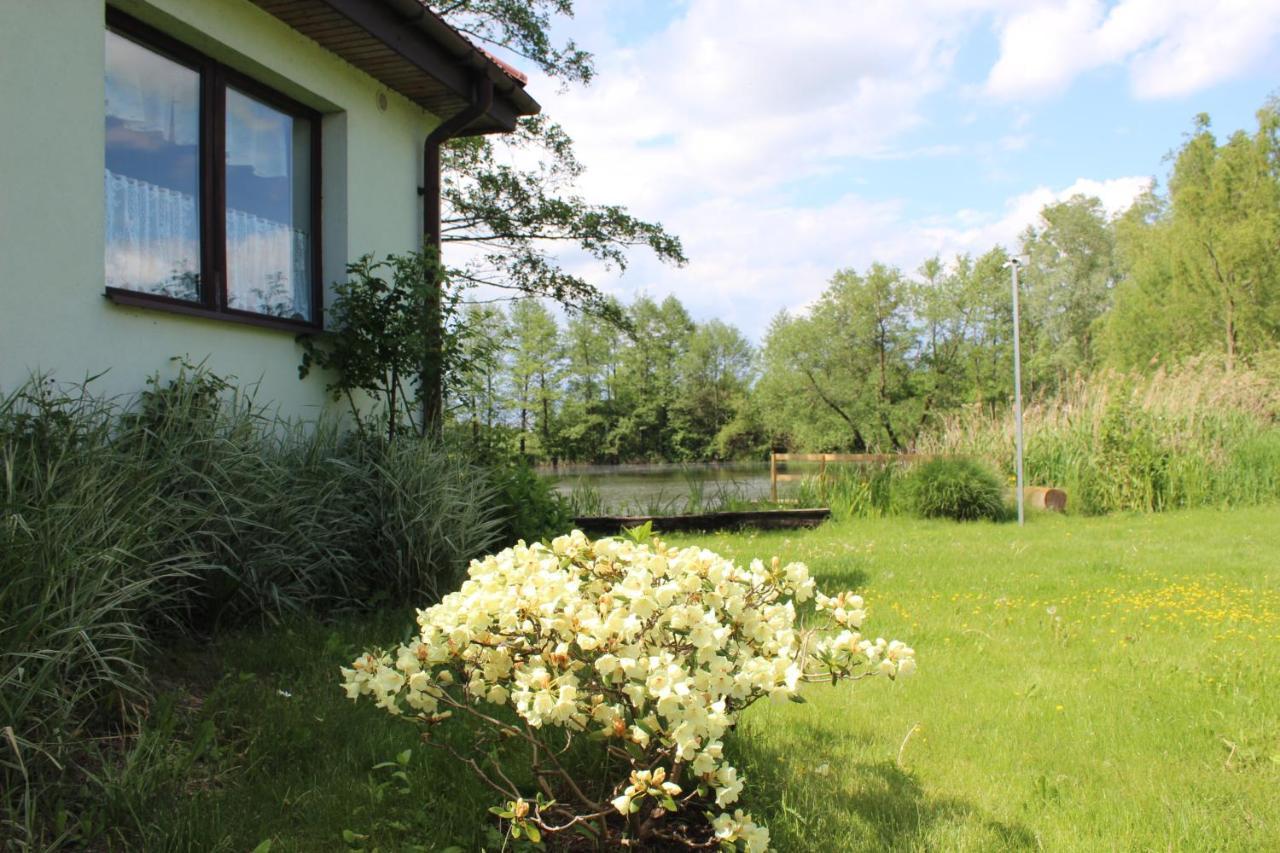 Villa Domek W Nabo Załuski Exterior foto